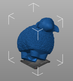 Training sheep added